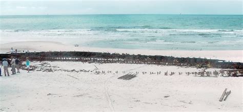 Shifting Sands From Isaac Reveal 1923 Shipwreck The Dispatch