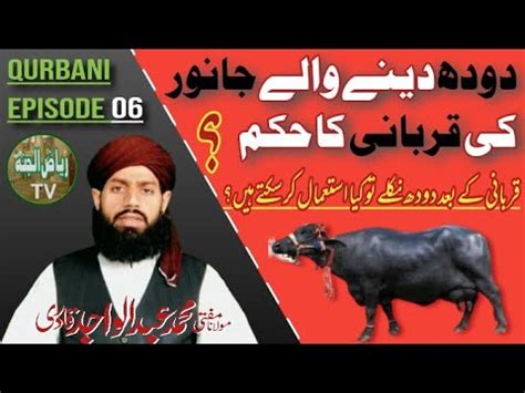 Doodh Dene Wale Janwar Ki Qurbani Ka Hukm Qurbani Episode 6