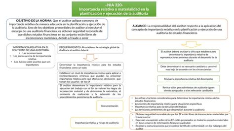 Esquema Nia 320 Importancia Relativa O Materialidad En La Planificación