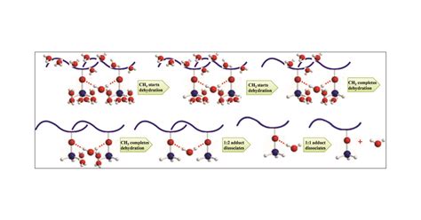 Integrated Microdynamics Mechanism Of The Thermal Induced Phase