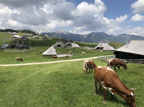 Velika Planina Slovenija Hpd Platak