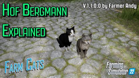 Fs Hof Bergmann Explained Farm Cats Youtube