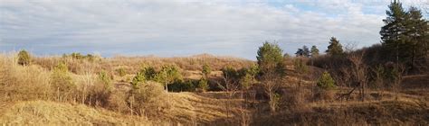 deliblatska pescara  decembru dnevnik