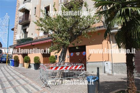 Lamezia Rimosso Albero Pericolante In Piazza Mercato Vecchio Il