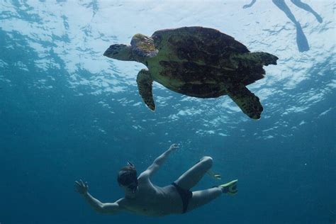 Click Arraial do Cabo (2025) - All You Need to Know BEFORE You Go (with