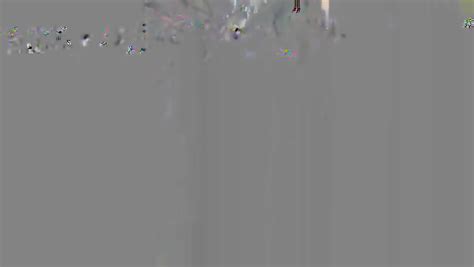 Amateur Bitch Sucking Cock