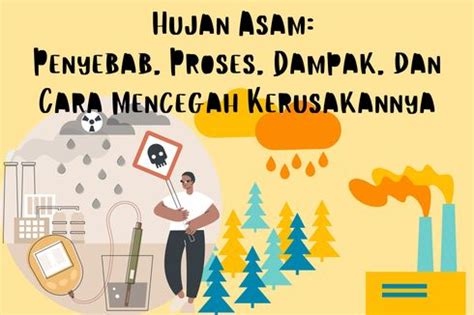 Berita Harian Hujan-asam-adalah Terbaru Hari Ini - Kompas.com