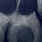 Throbb Onnlly The Director S Porn Videos Pornhub