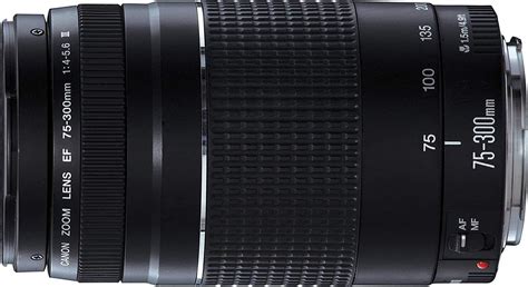 Amazon.com : Canon EF 75-300mm f/4-5.6 III Telephoto Zoom Lens ...