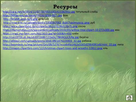 Филворд «Прогулка в парке» (4 - 5 класс) - презентация онлайн