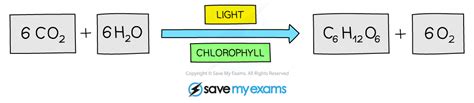 Chemical Equation For Photosynthesis