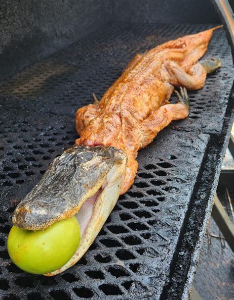 grilling alligator     perfect char alligators
