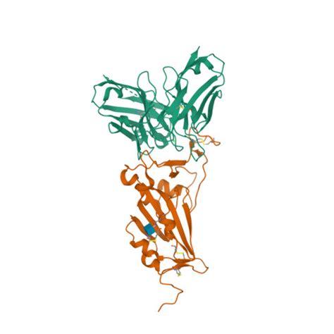 RCSB PDB 7DEO Crystal Structure Of SARS CoV 2 RBD In Complex With A