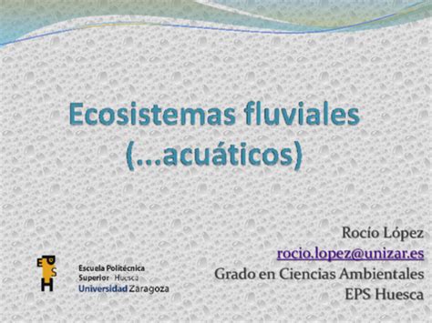 Ef Presentaci N Pdf