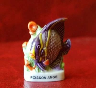 fava il pesce angelo rif  ebay