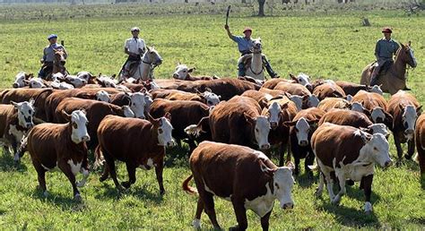 Turismo Rural En Estancias Correntinas