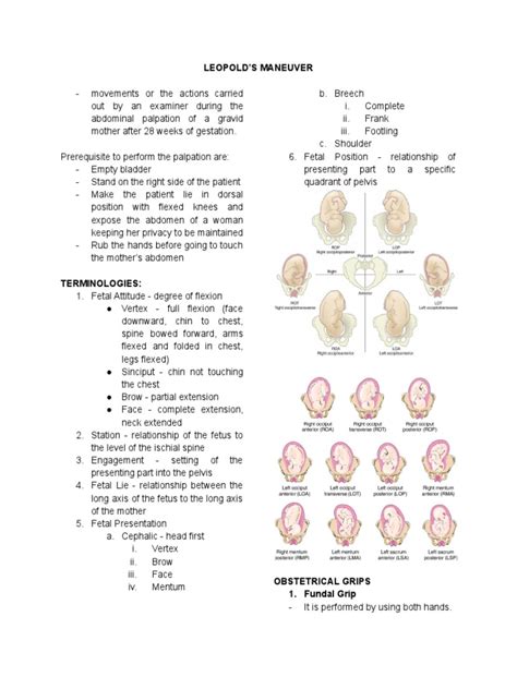 Understanding Leopolds Maneuvers A Guide To The Abdominal Palpation