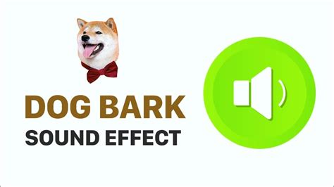 Dog Bark Sound Effect Dog Sound Effect Annoying Dog Sounds Youtube