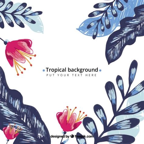 Exotic Flowers Free Vector Graphics Everypixel