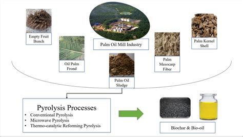 Process Overview Of Pyrolysis Pathways With Respect To The Different