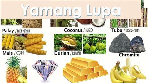 yamang lupa