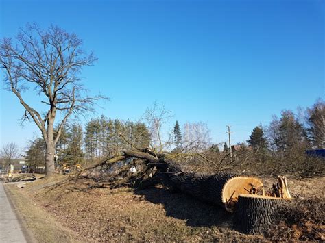 Ruszyły prace na budowie Puławskiej Bis PiasecznoNEWS