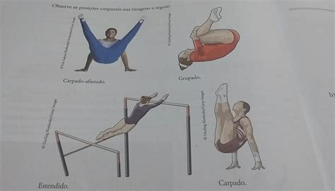 Quais São Os Critérios Exigidos Na Competição Da Ginástica Artística