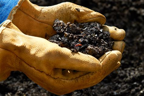 Turning Waste Into Gold For Your Soil The Magic Of Composting