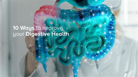 Ampath Lab Ten Ways To Improve Your Digestive Health