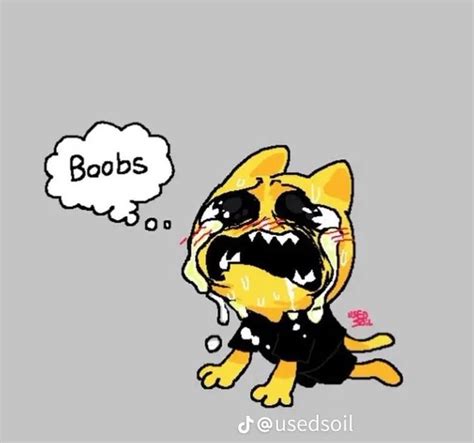 Pin By Tamzin Mcquade Jones On GAY Reaction Images Cute Memes Funny