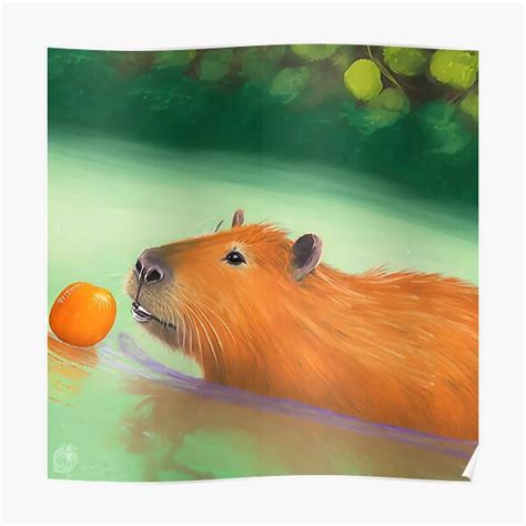 "Capybara Swimming with Oranges" Poster for Sale by CapybaraCentral | Redbubble