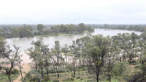 River Murray In Flood New Satellite Images The Advertiser