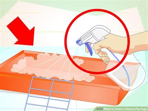 How to Clean a Guinea Pig Cage (with Pictures) - wikiHow