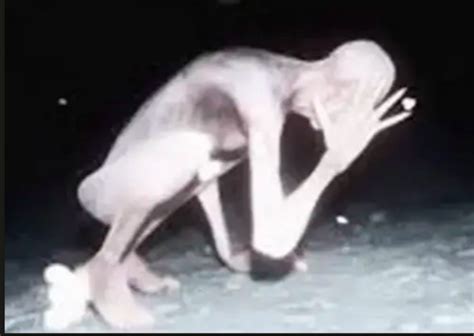 Pale Crawler Humanoid Trail Cam Captures From Hillsborough County