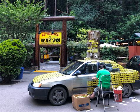 The Mystery Spot, Santa Cruz | Roadtrippers