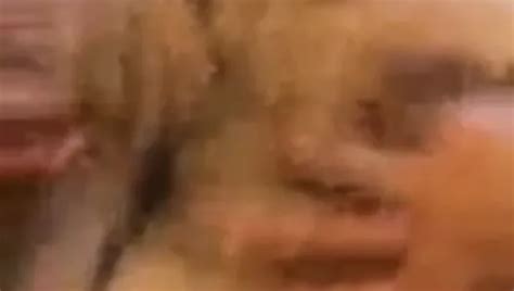 Chacal De Monterrey Gay Big Cock Porn Video XHamster