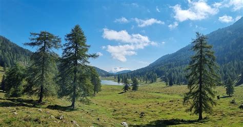 Egger Alm Runde BERGFEX Wanderung Tour Kärnten