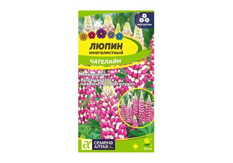 Люпин Чателайн, семена – купить в питомнике по цене 77 ₽ с доставкой по ...