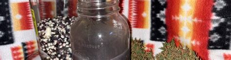 Blue Corn Mush With Juniper Ash Alaska Ethnobotany