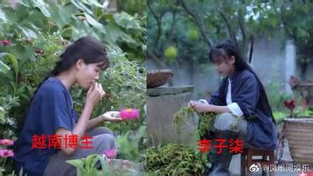 Netizen Trung Qu C L N N Gay G T M T K Nh Youtube Vi T Nam V Nghi V N O Nh I L T Th T