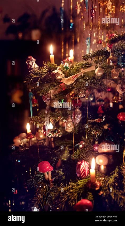 German Christmas Tree House At Quincy James Blog