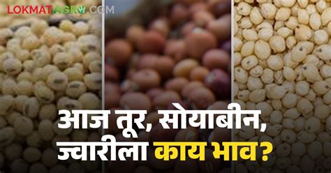 Tur Soyabean Market सोयाबीन तूर ज्वारीला आज काय भाव मिळाला जाणून घ्या सविस्तर बाजारभाव