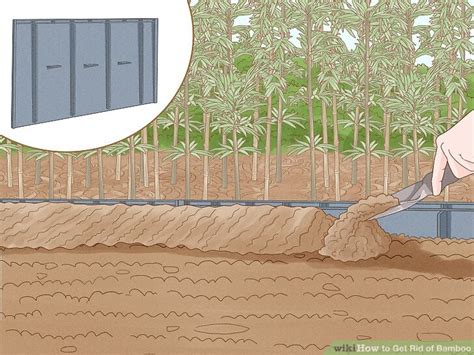 how to get rid of bamboo plant