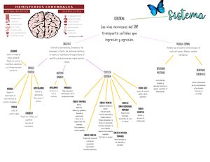 Mapa Conceptual Mecanismos De Defensa Psicologia Medica