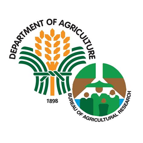 DA Rfo7 Research | Mandaue City