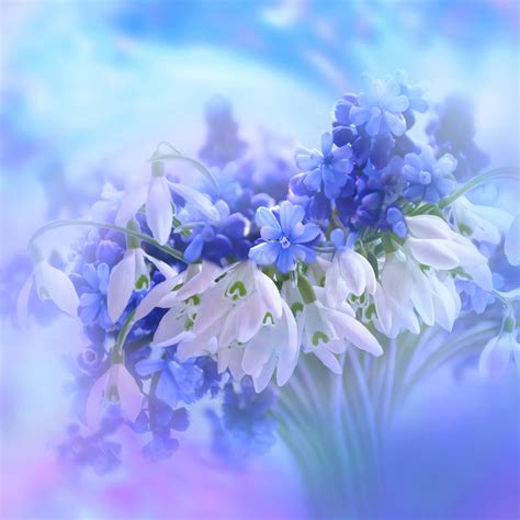 Blue flowers Wallpaper 4K, Hyacinth, White, Blossom