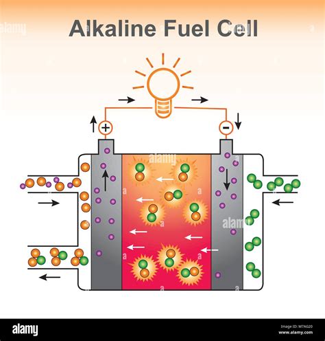 Alkaline Fuel Cell Design At Georgia Sturt Blog