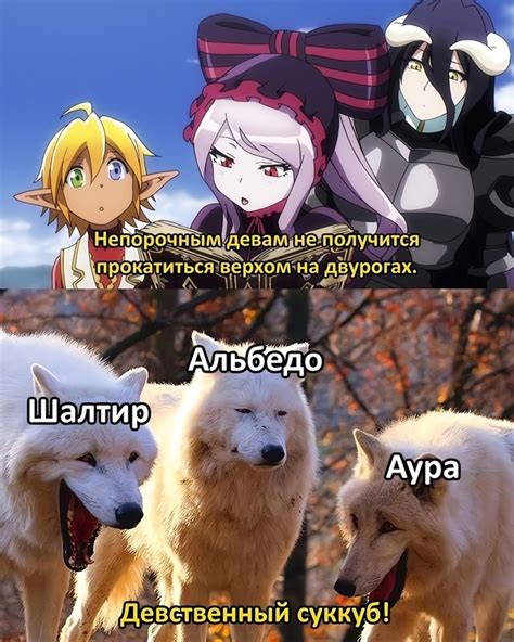 #Overlord #Memes | Квартет из альтернативного мира / Isekai Quartet ...