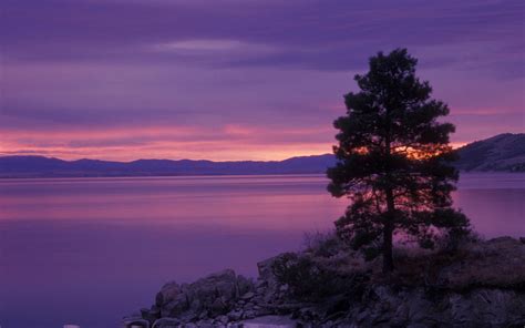 🔥 [80+] Anette Dawn Wallpapers | WallpaperSafari