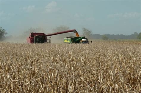América Latina y el Caribe aportará el de las exportaciones mundiales de productos agrícolas